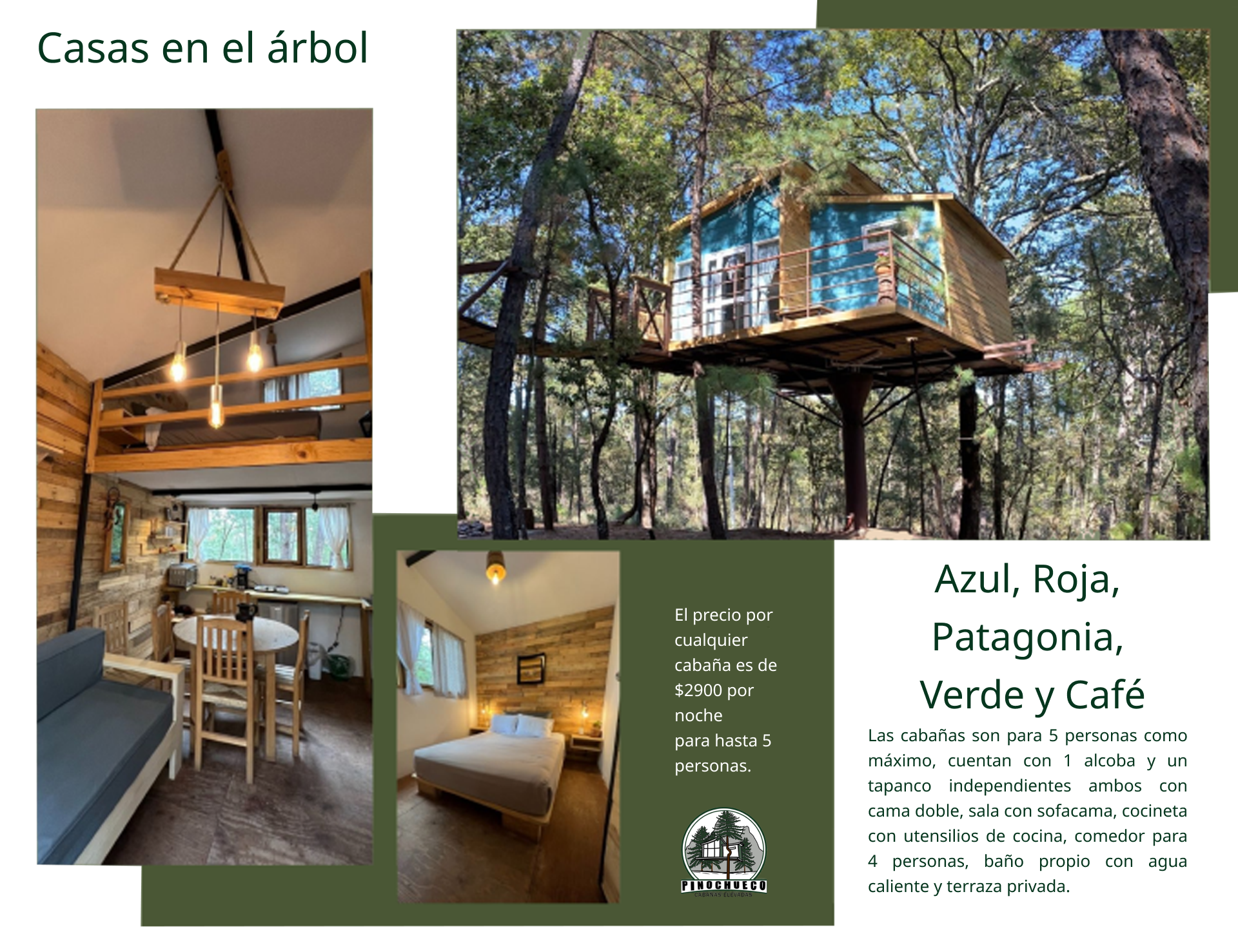 casas arbol